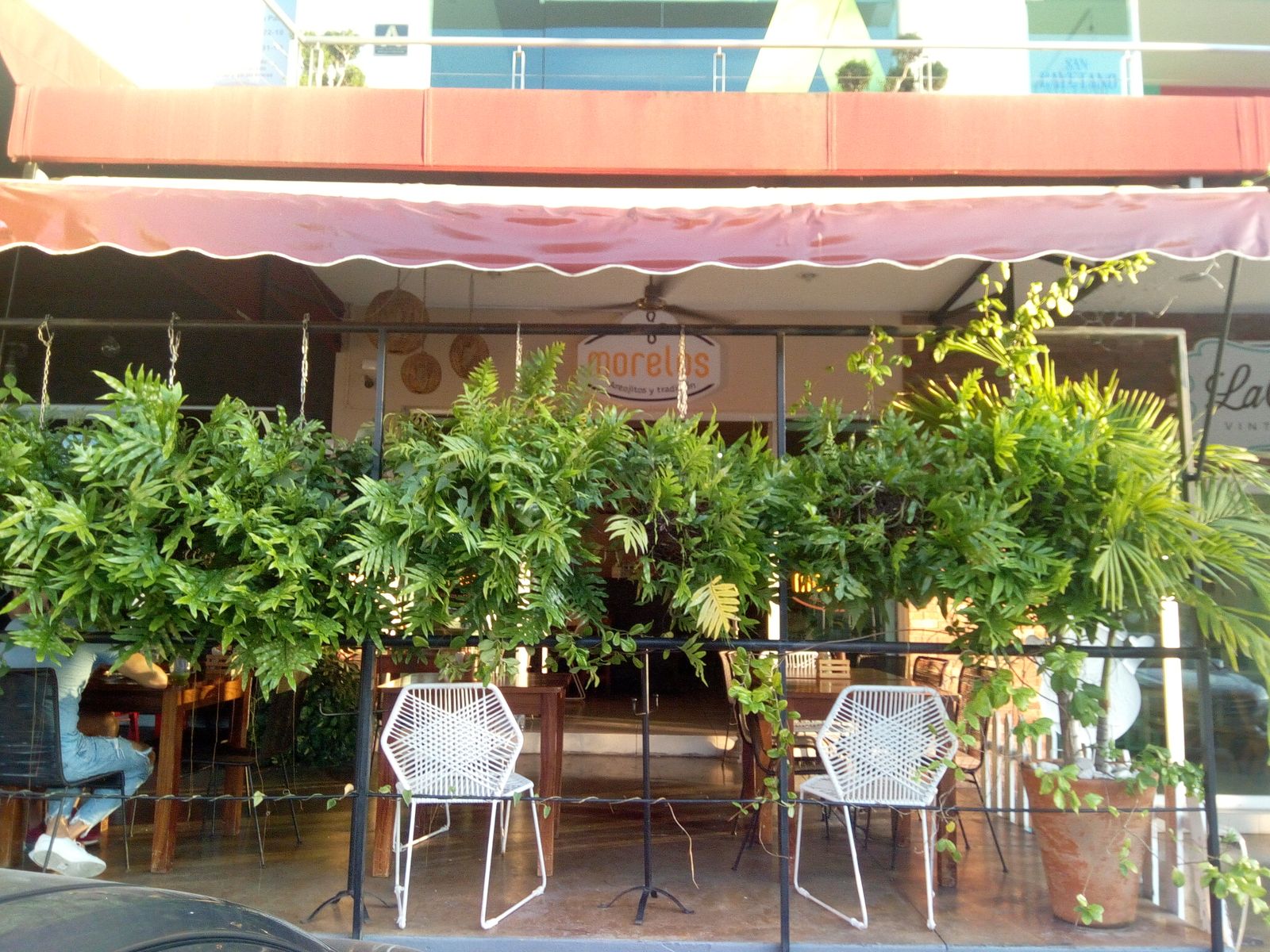 leetx-google-photo-46166-3 leetx-google-photo-46166-3