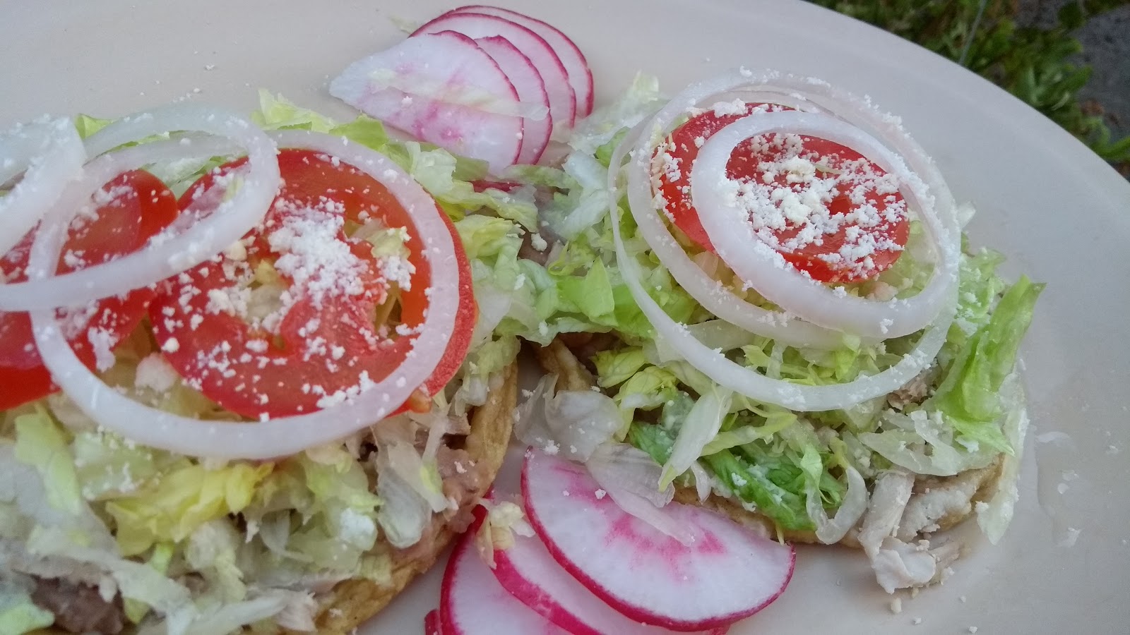 leetx-google-photo-46672-5 leetx-google-photo-46672-5