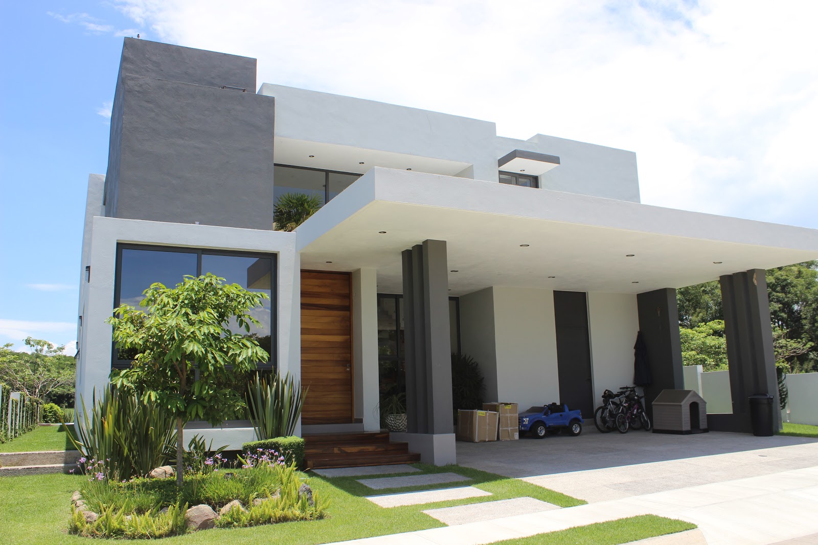 leetx-google-photo-46753-3 leetx-google-photo-46753-3