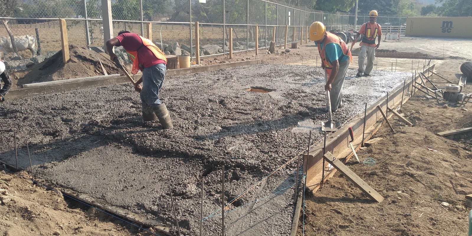 leetx-google-photo-46789-3 leetx-google-photo-46789-3