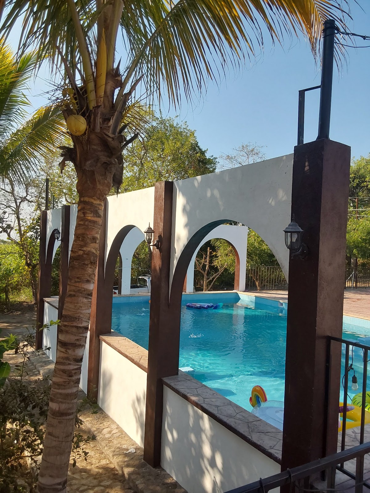 leetx-google-photo-46808-6 leetx-google-photo-46808-6