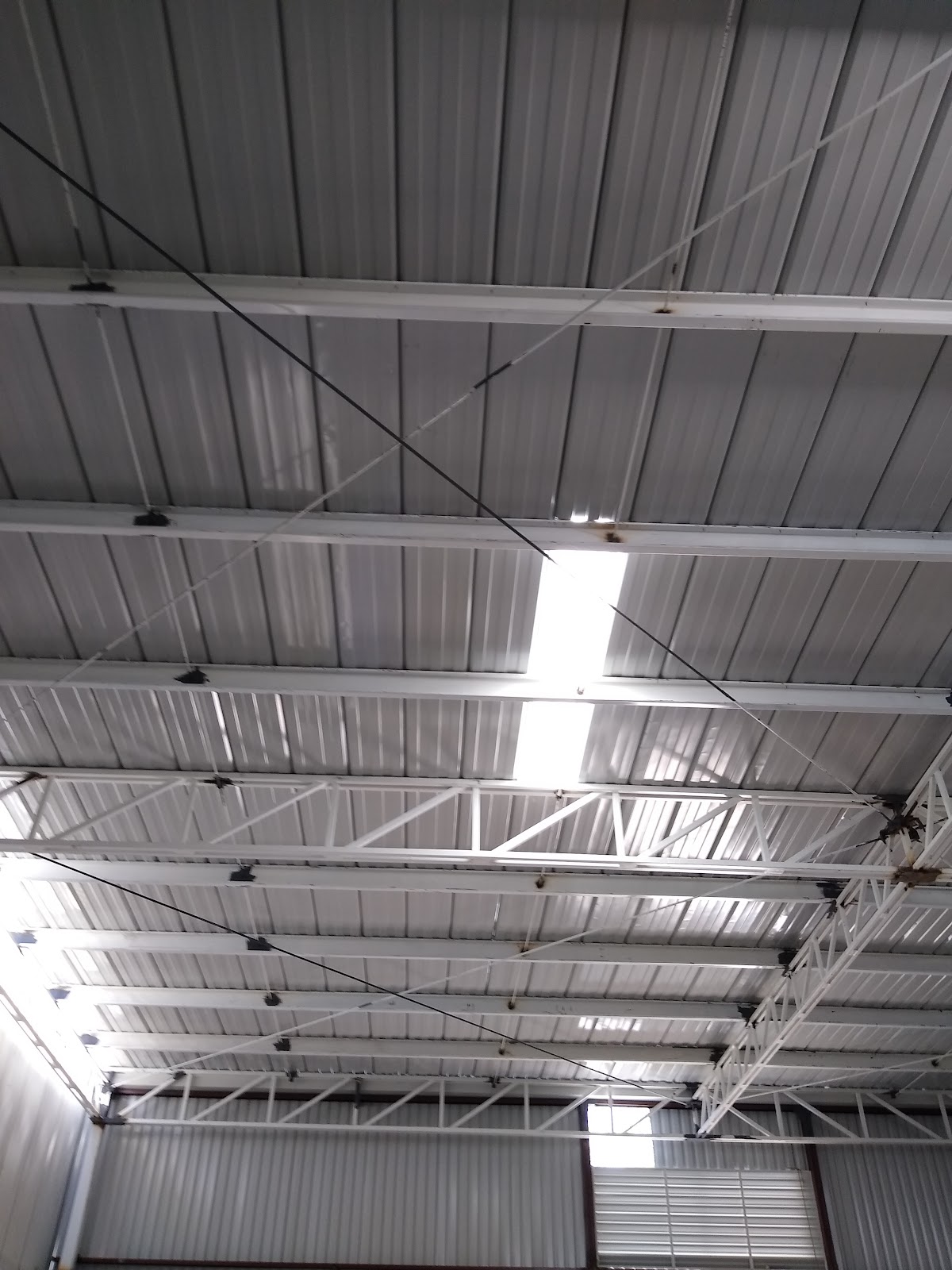 leetx-google-photo-46821-3 leetx-google-photo-46821-3