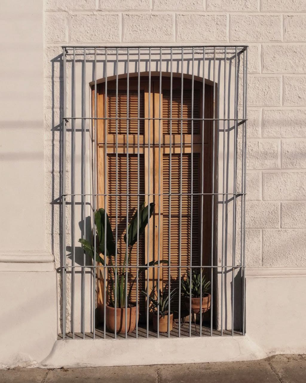 leetx-google-photo-46965-8 leetx-google-photo-46965-8