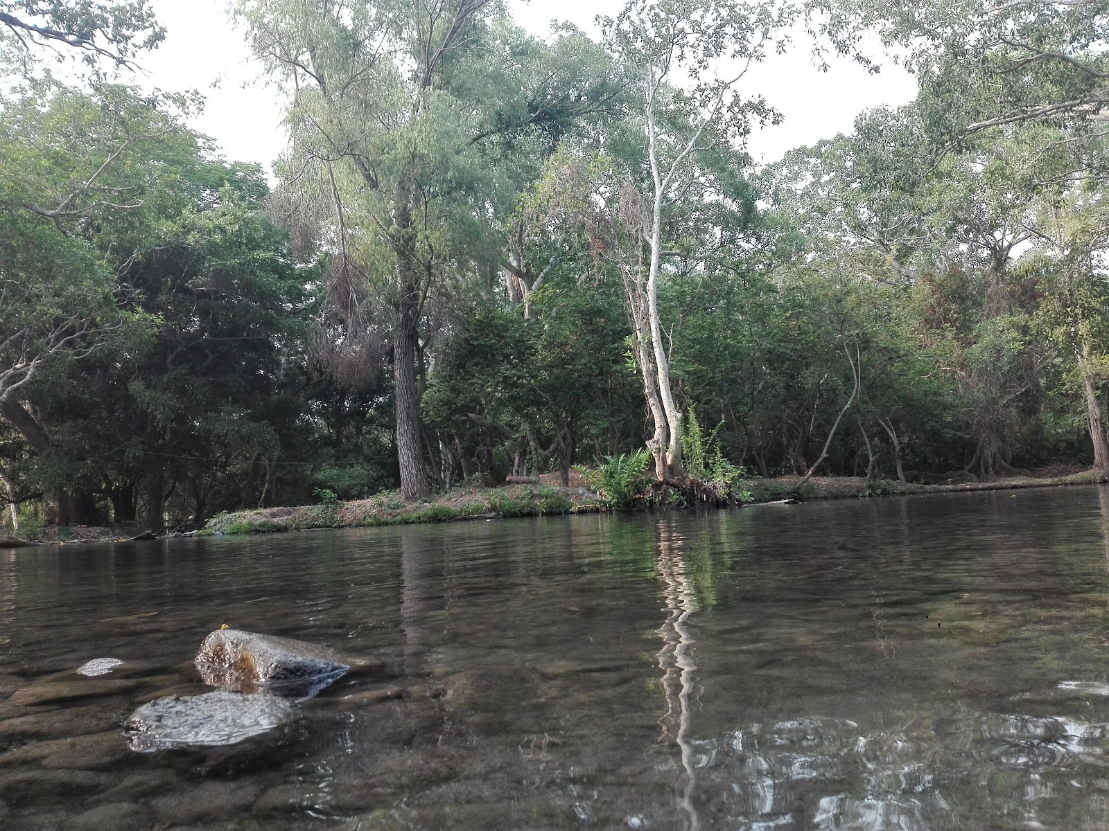 Hisilicon Balong Hisilicon Balong