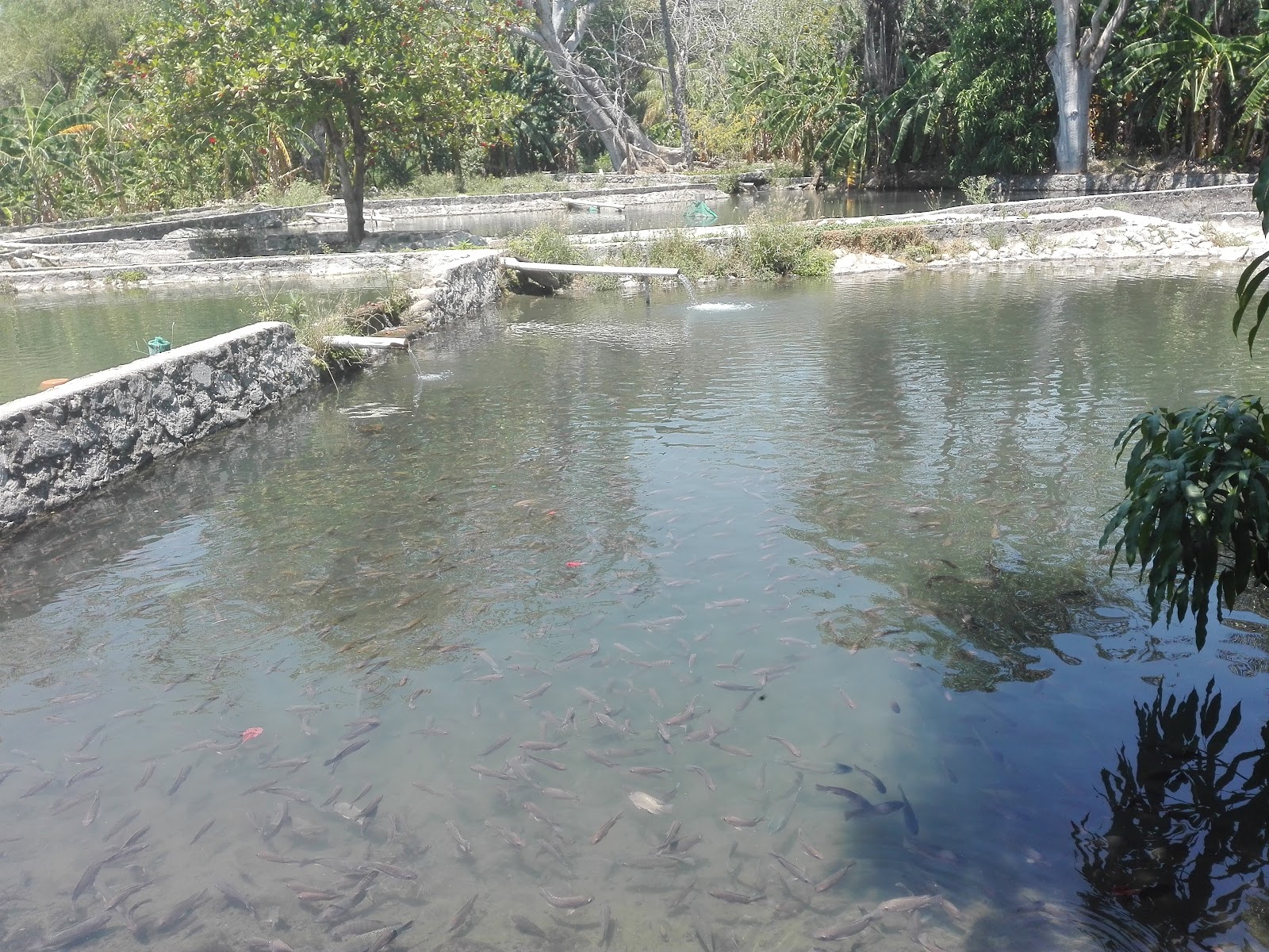 Hisilicon Balong Hisilicon Balong