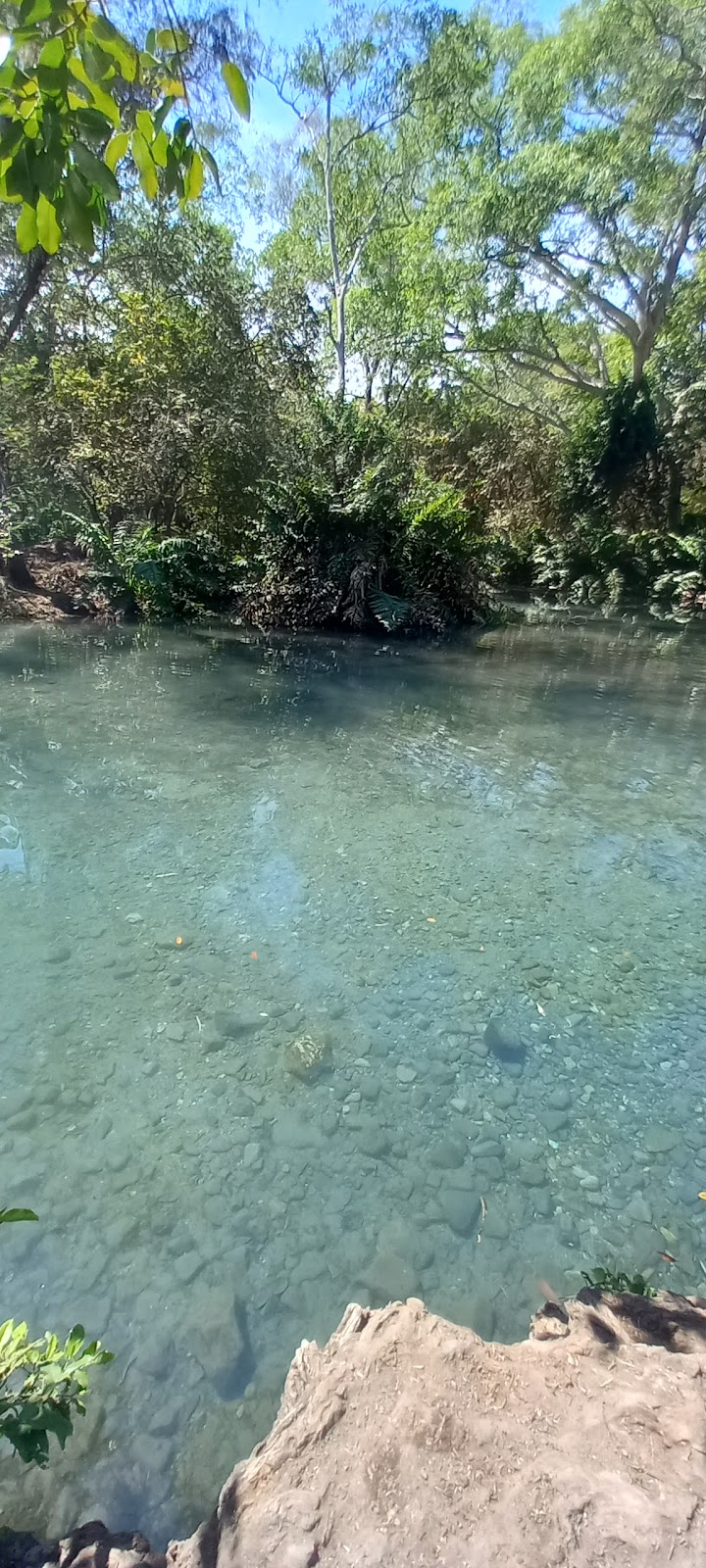 leetx-google-photo-47031-4 leetx-google-photo-47031-4