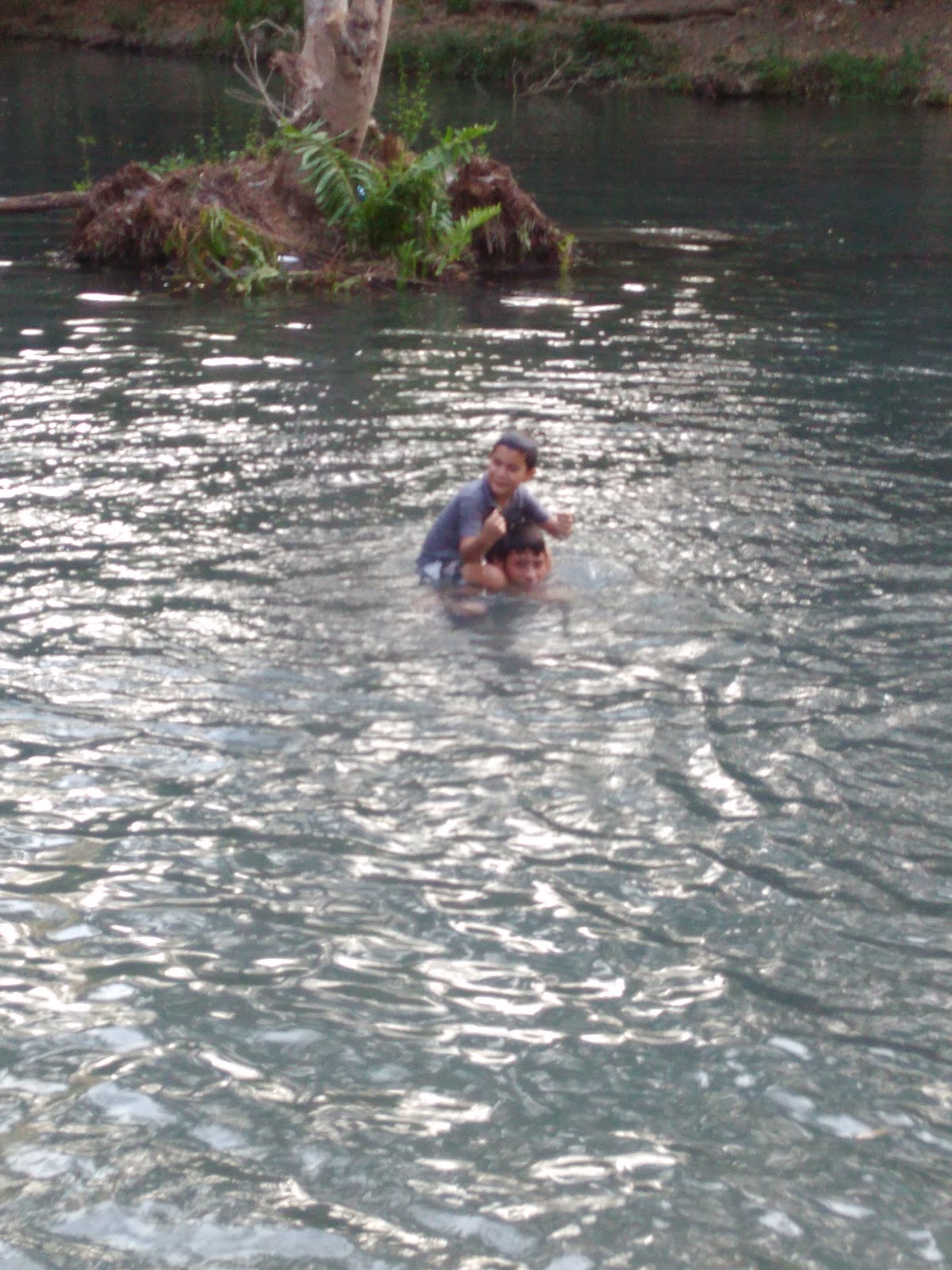 leetx-google-photo-47031-7 leetx-google-photo-47031-7