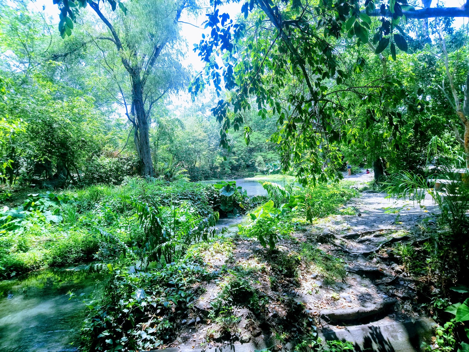 leetx-google-photo-47031-8 leetx-google-photo-47031-8