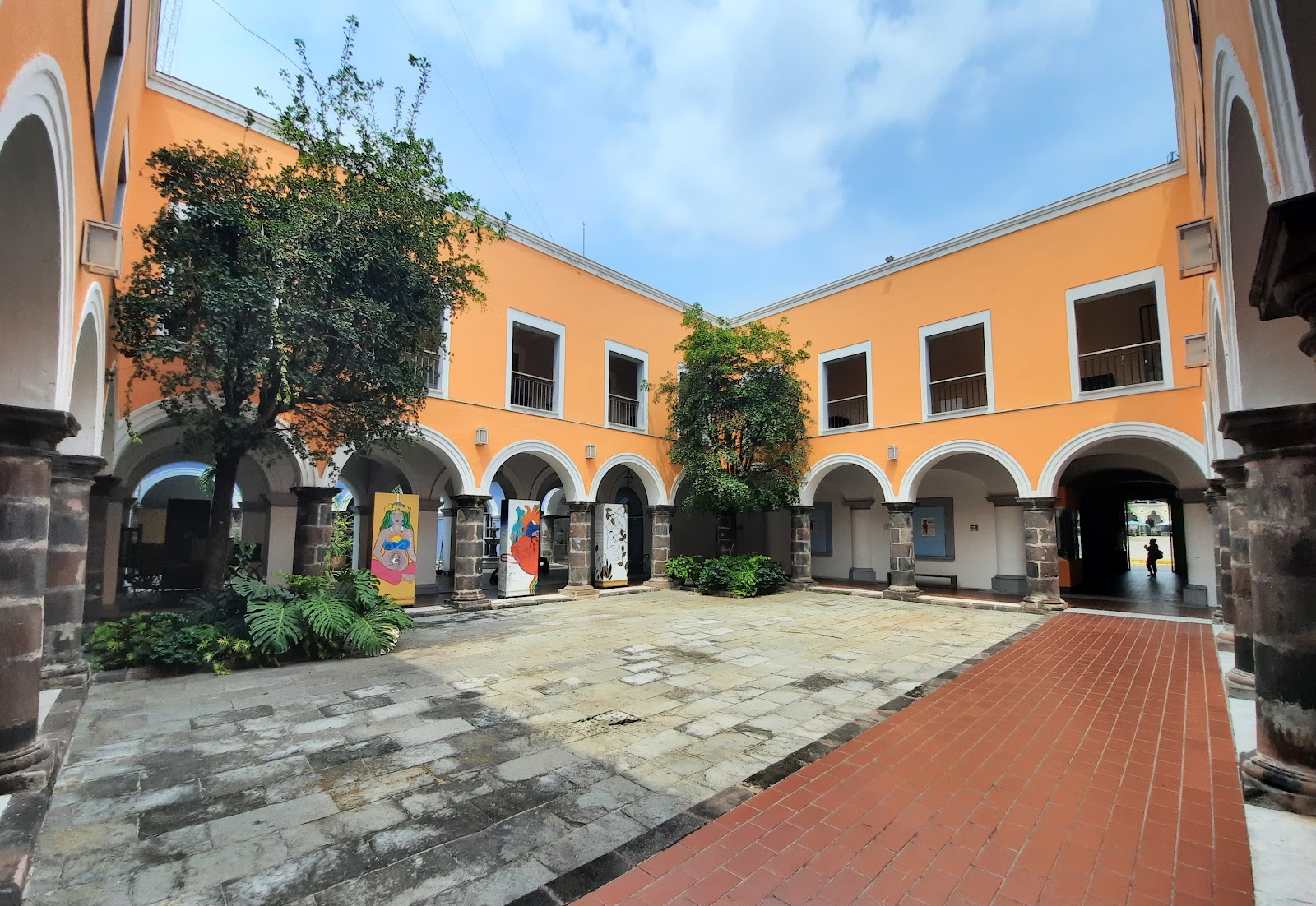 leetx-google-photo-47040-2 leetx-google-photo-47040-2