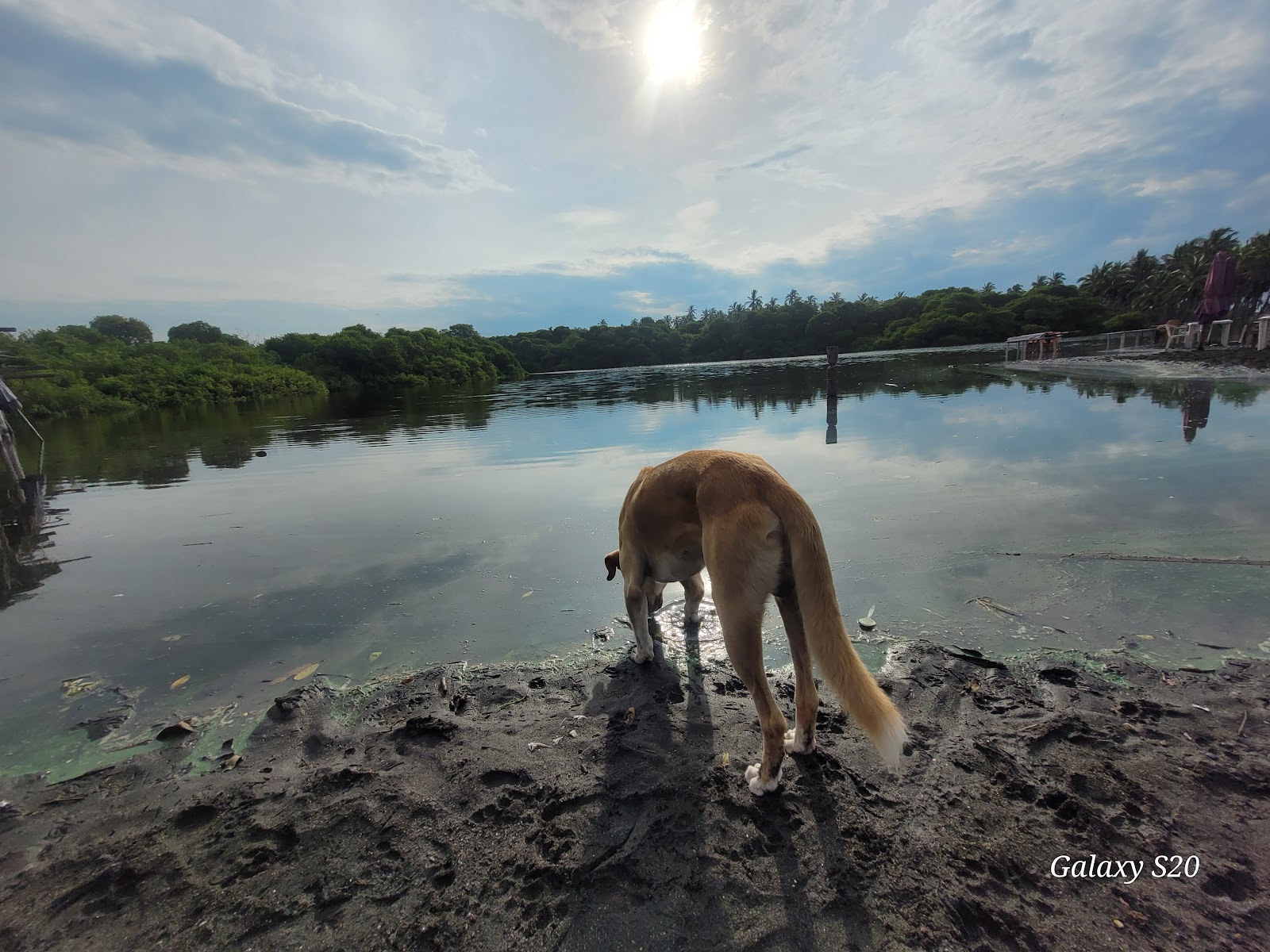 leetx-google-photo-47084-4 leetx-google-photo-47084-4