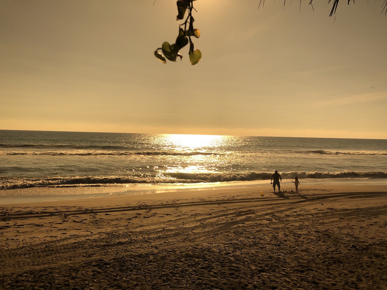 leetx-google-photo-47084-8 leetx-google-photo-47084-8