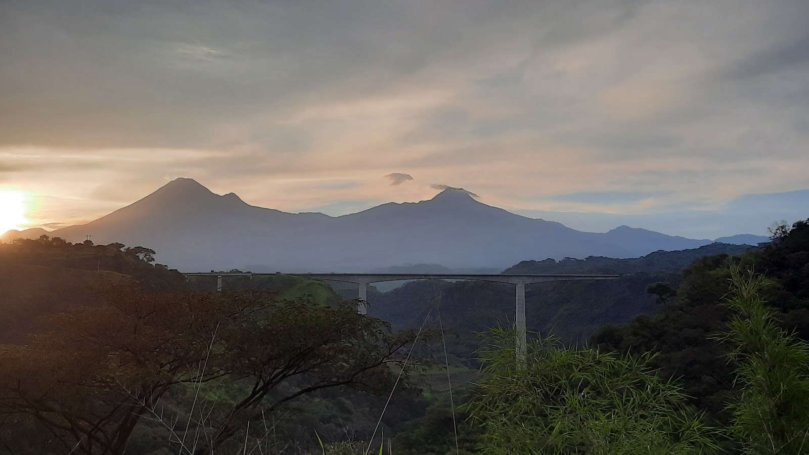 leetx-google-photo-47160-7 leetx-google-photo-47160-7