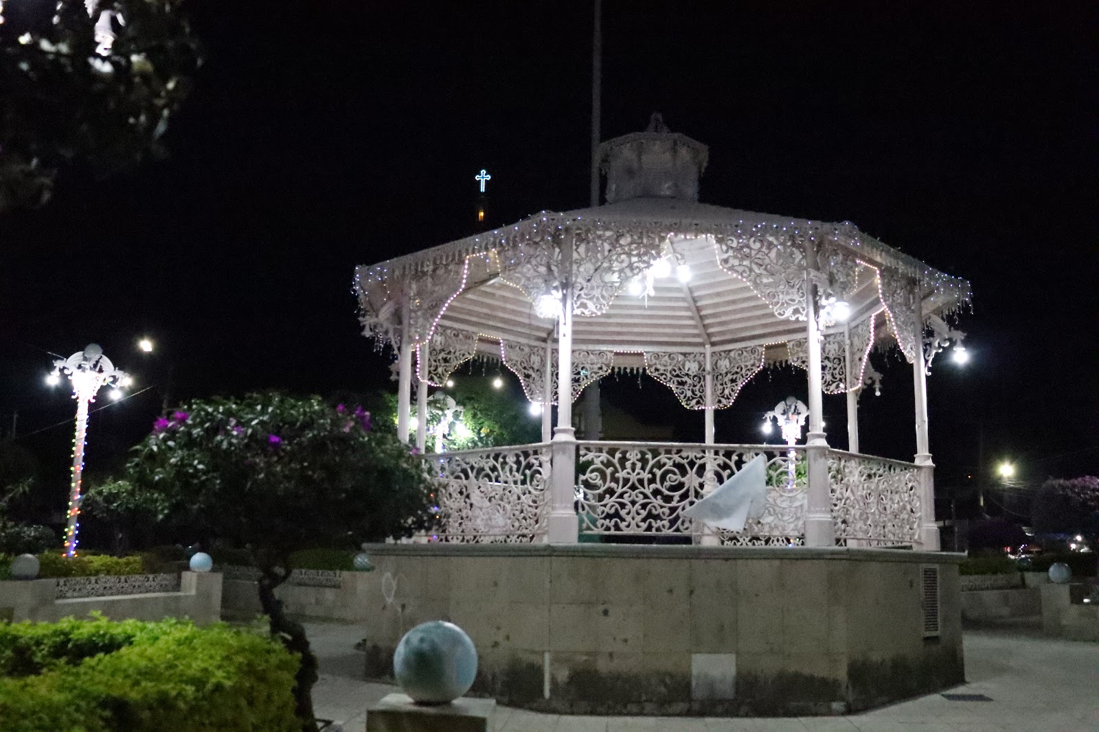 leetx-google-photo-47172-2 leetx-google-photo-47172-2