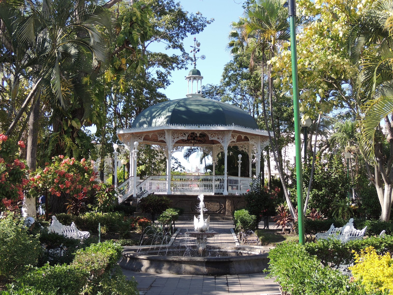 leetx-google-photo-47196-2 leetx-google-photo-47196-2