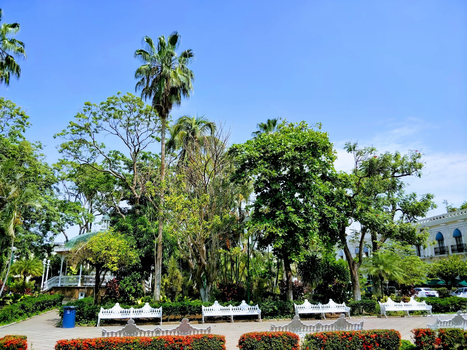 leetx-google-photo-47196-3 leetx-google-photo-47196-3