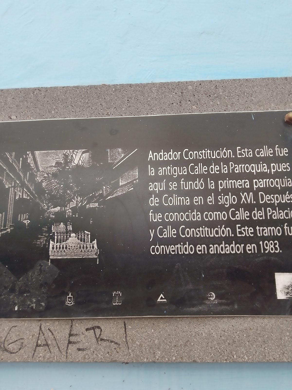 leetx-google-photo-47223-8 leetx-google-photo-47223-8