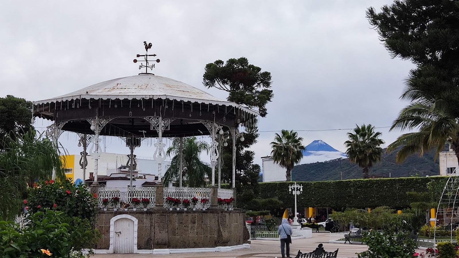 leetx-google-photo-47242-7 leetx-google-photo-47242-7