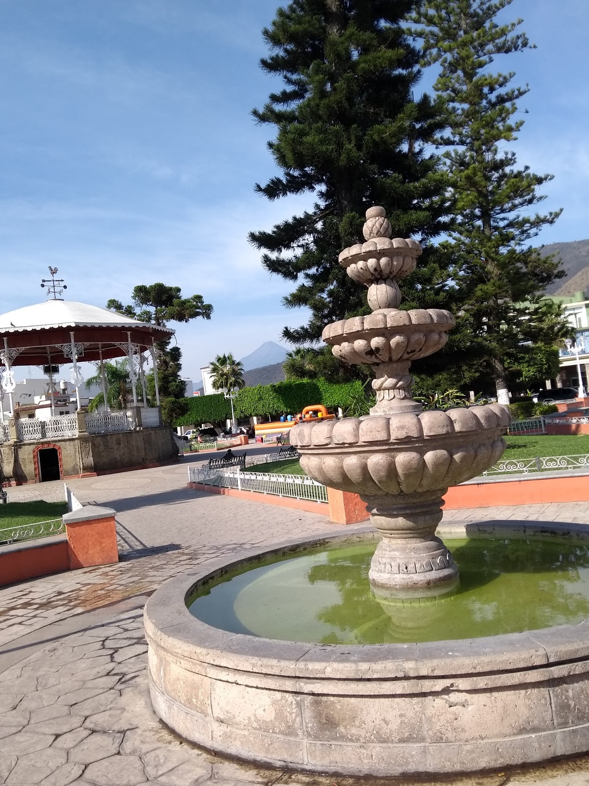 leetx-google-photo-47242-8 leetx-google-photo-47242-8