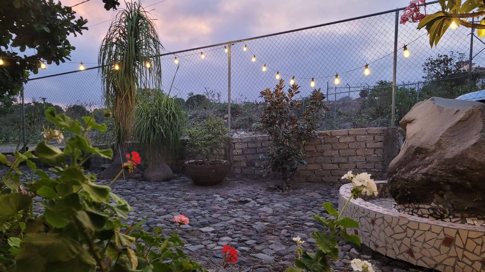 leetx-google-photo-47256-2 leetx-google-photo-47256-2