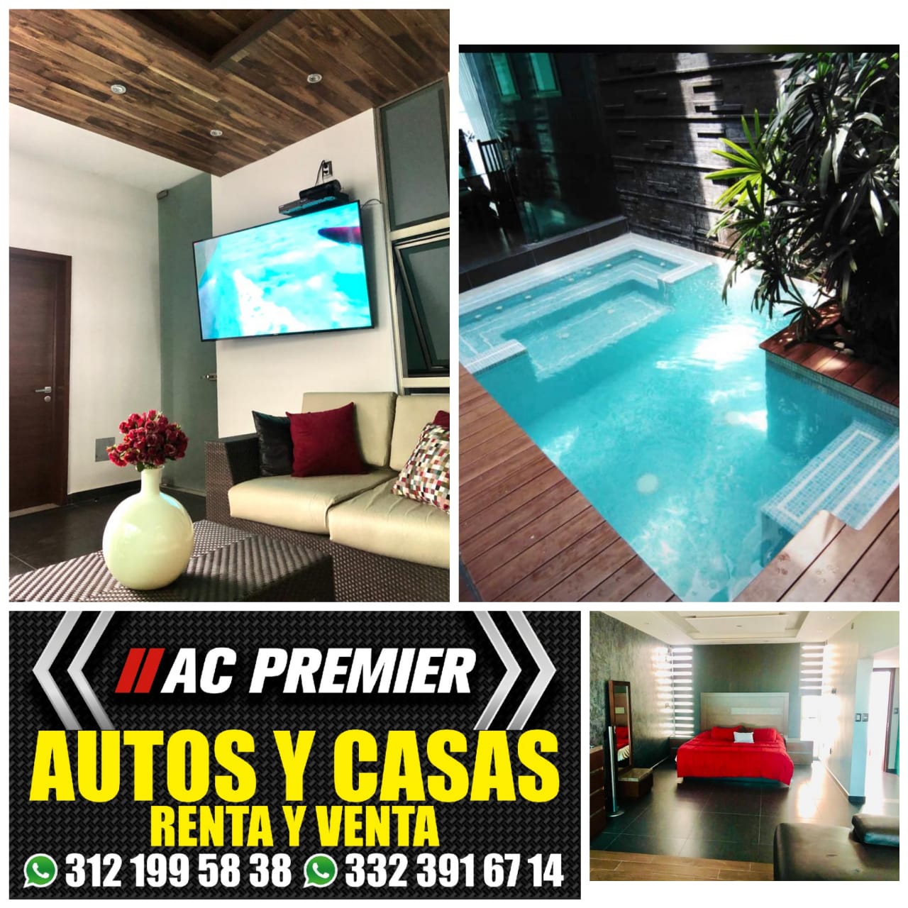 leetx-google-photo-47408-3 leetx-google-photo-47408-3