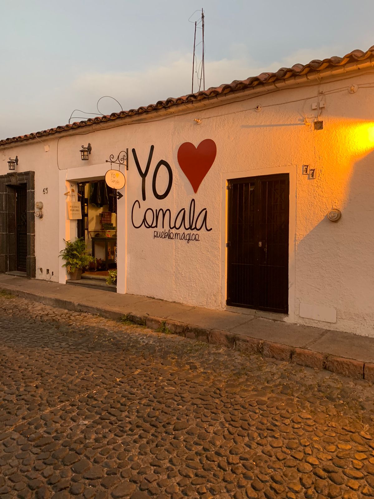 leetx-google-photo-47686-5 leetx-google-photo-47686-5