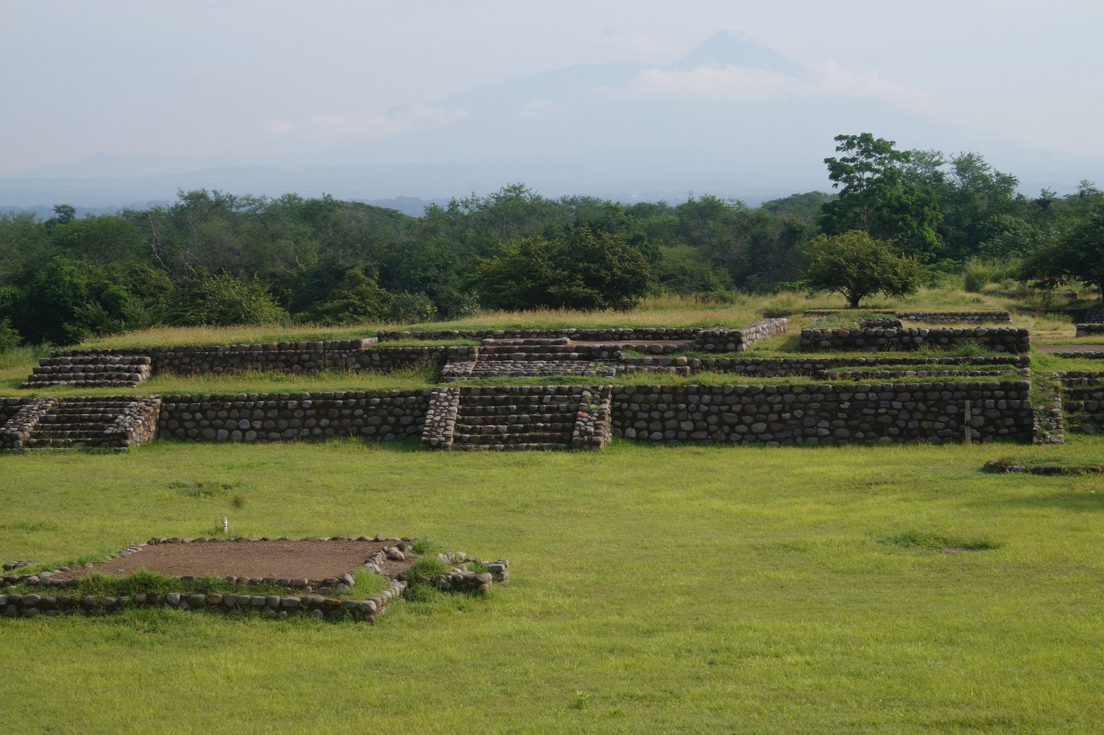 leetx-google-photo-47728-2 leetx-google-photo-47728-2