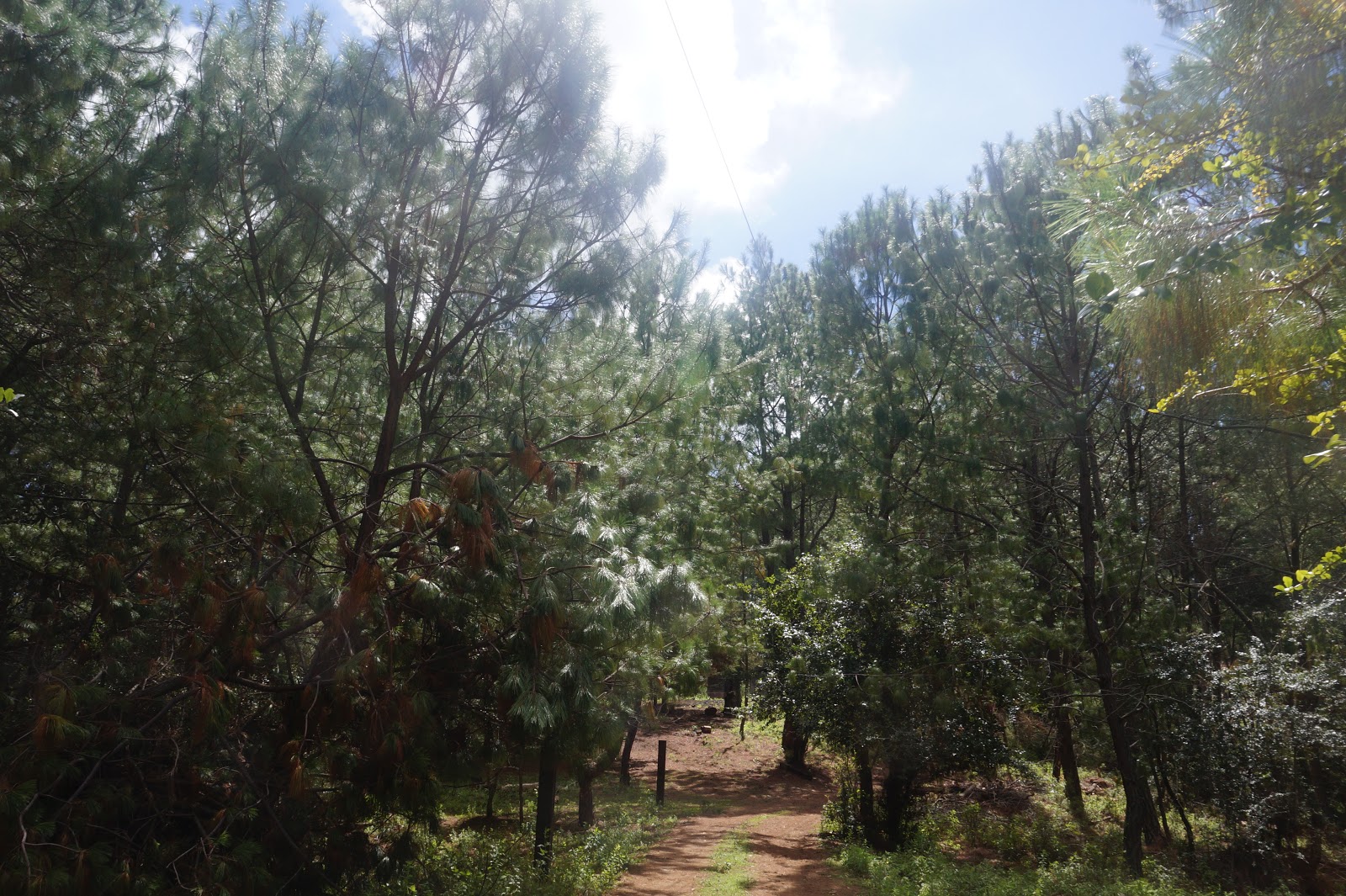 leetx-google-photo-47728-3 leetx-google-photo-47728-3