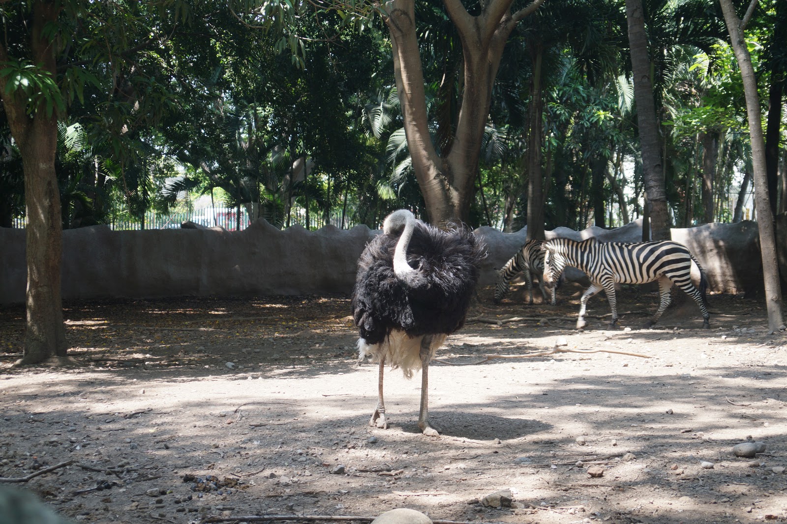 leetx-google-photo-47728-4 leetx-google-photo-47728-4