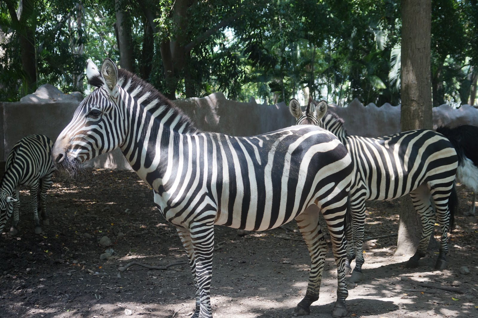 leetx-google-photo-47728-6 leetx-google-photo-47728-6