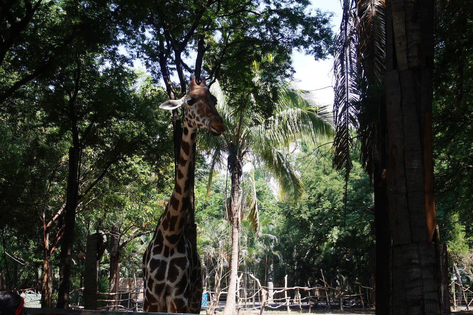 leetx-google-photo-47728-7 leetx-google-photo-47728-7