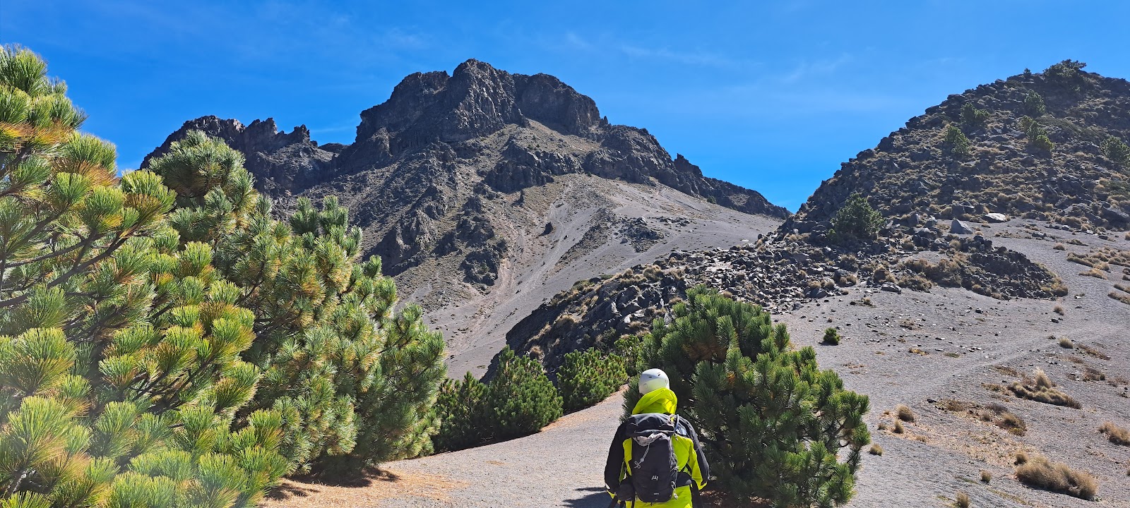 leetx-google-photo-47737-8 leetx-google-photo-47737-8