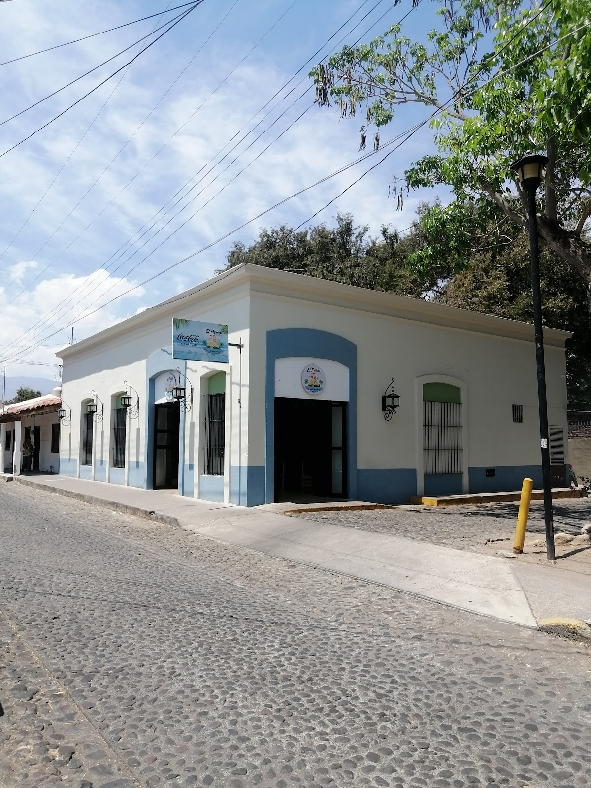 leetx-google-photo-48013-6 leetx-google-photo-48013-6