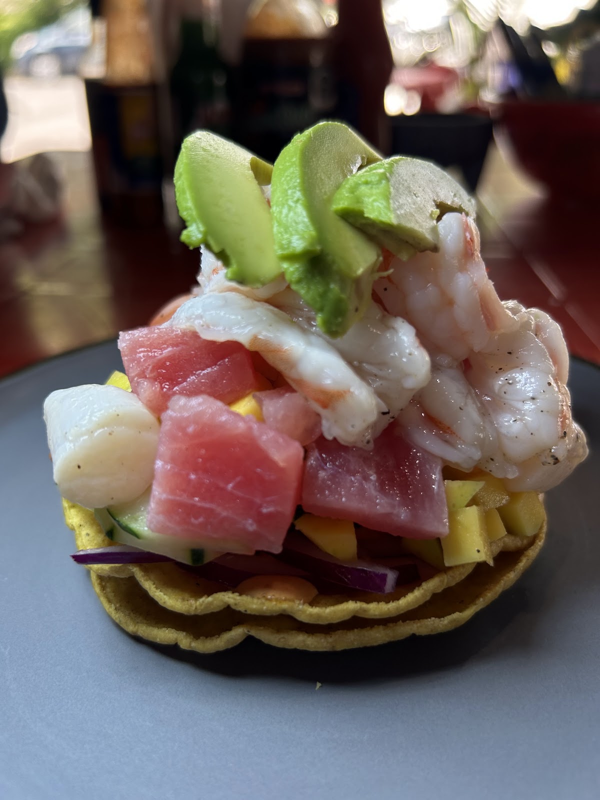 leetx-google-photo-48031-6 leetx-google-photo-48031-6