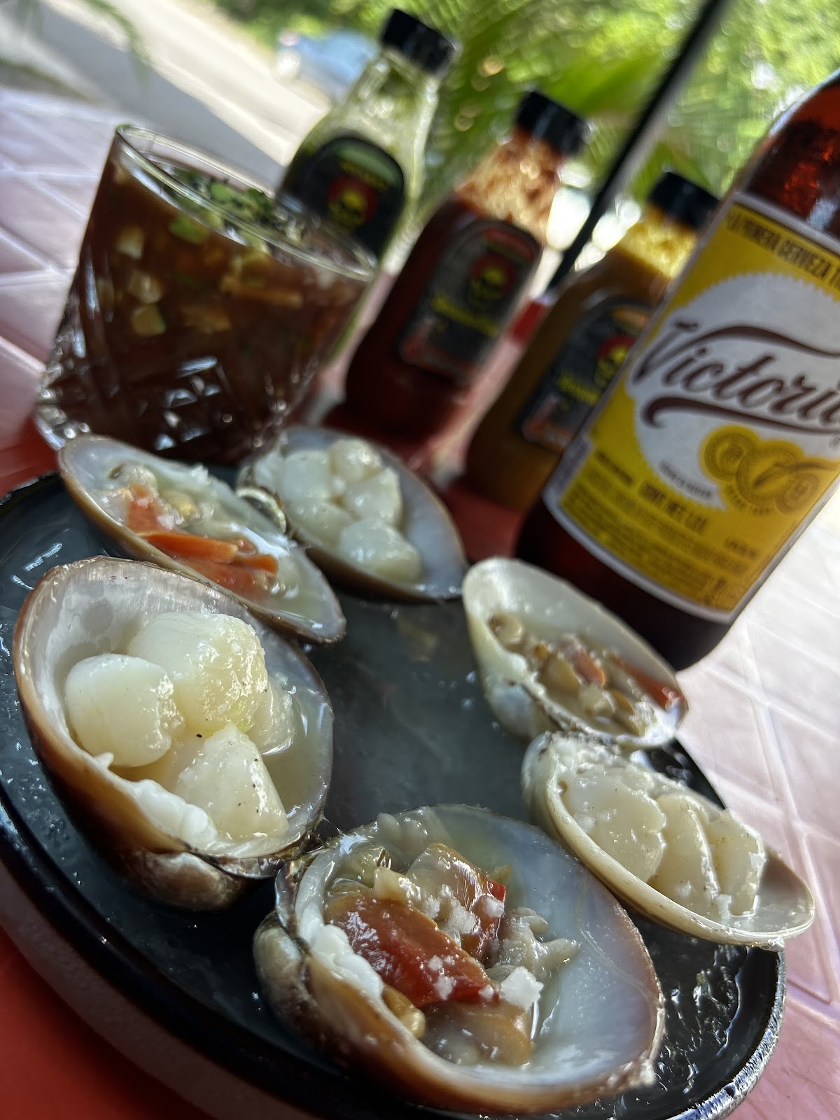 leetx-google-photo-48031-8 leetx-google-photo-48031-8