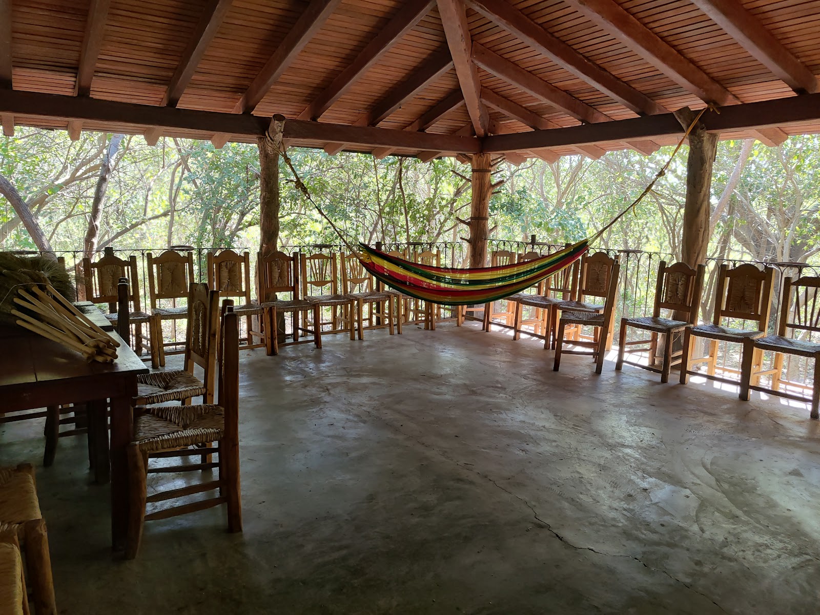 leetx-google-photo-48156-2 leetx-google-photo-48156-2