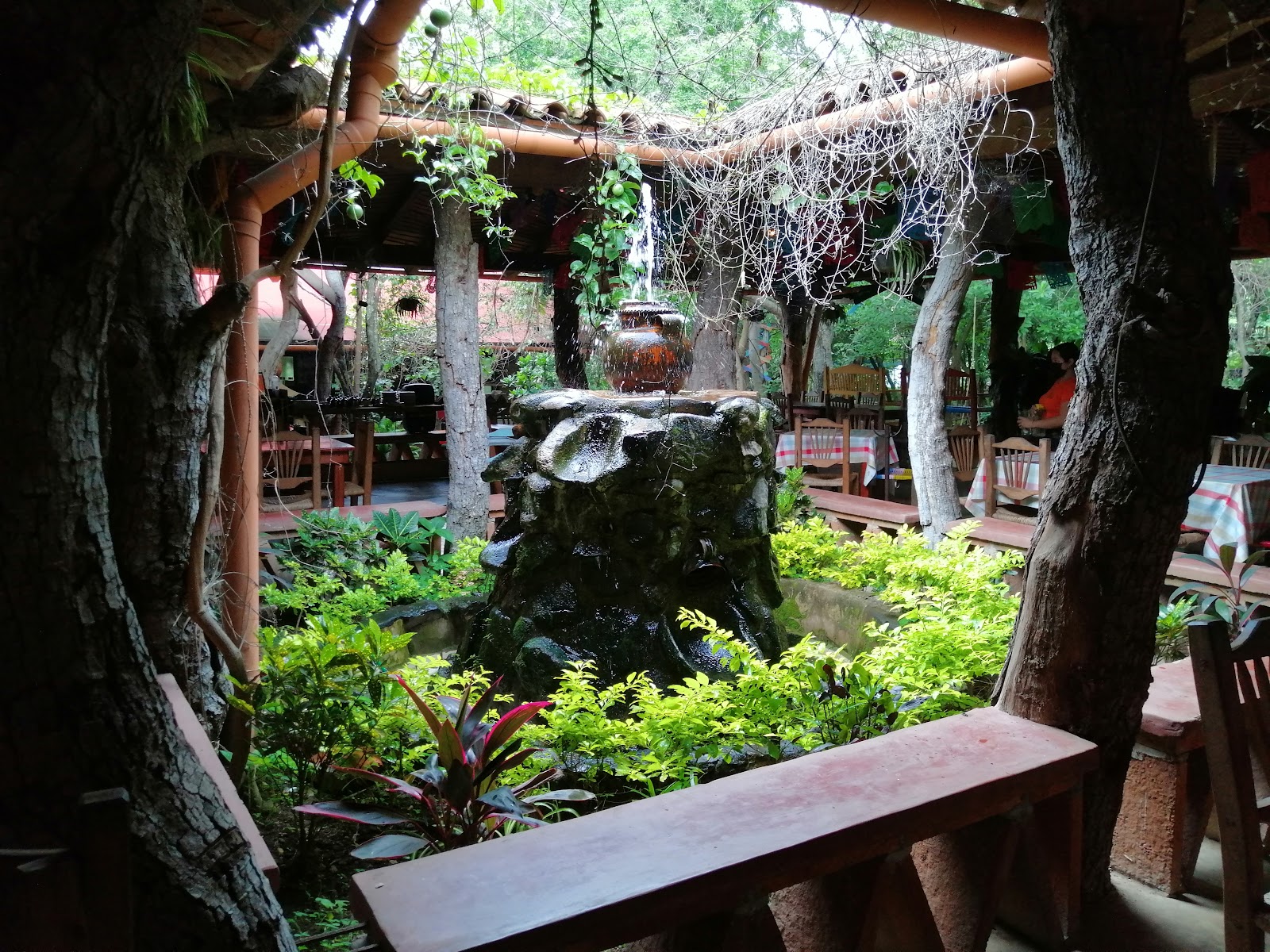 leetx-google-photo-48156-7 leetx-google-photo-48156-7