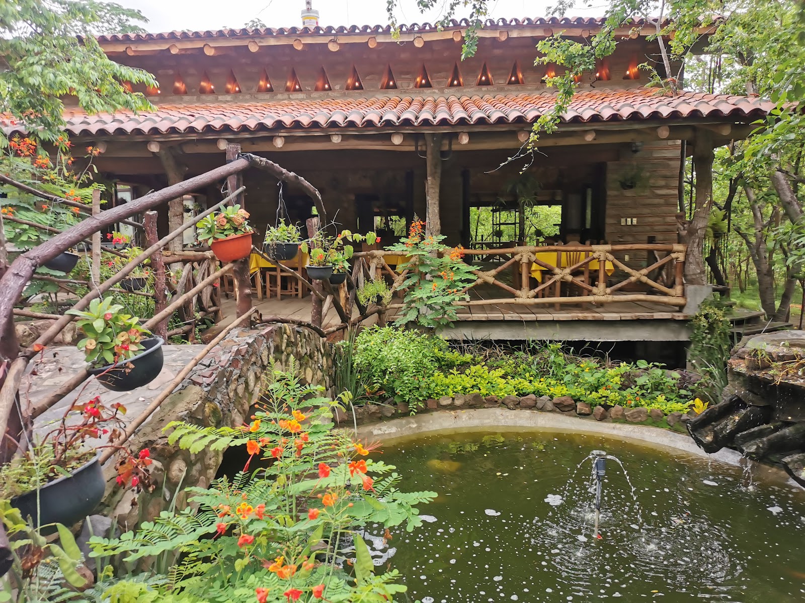 leetx-google-photo-48156-8 leetx-google-photo-48156-8