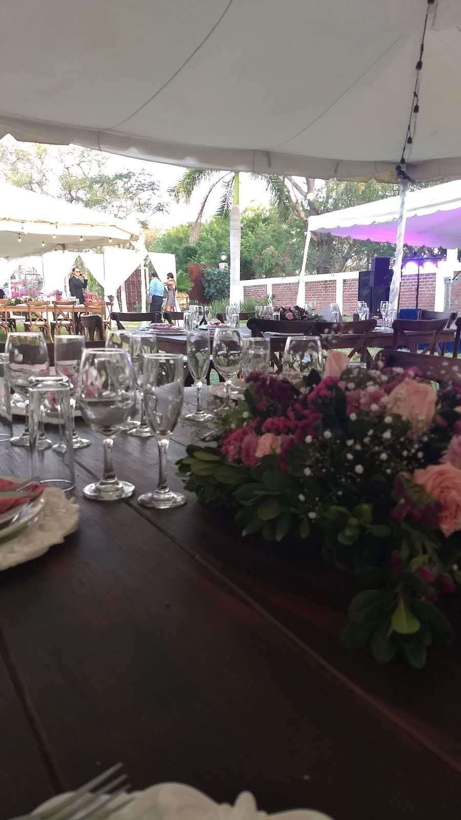 leetx-google-photo-48386-6 leetx-google-photo-48386-6