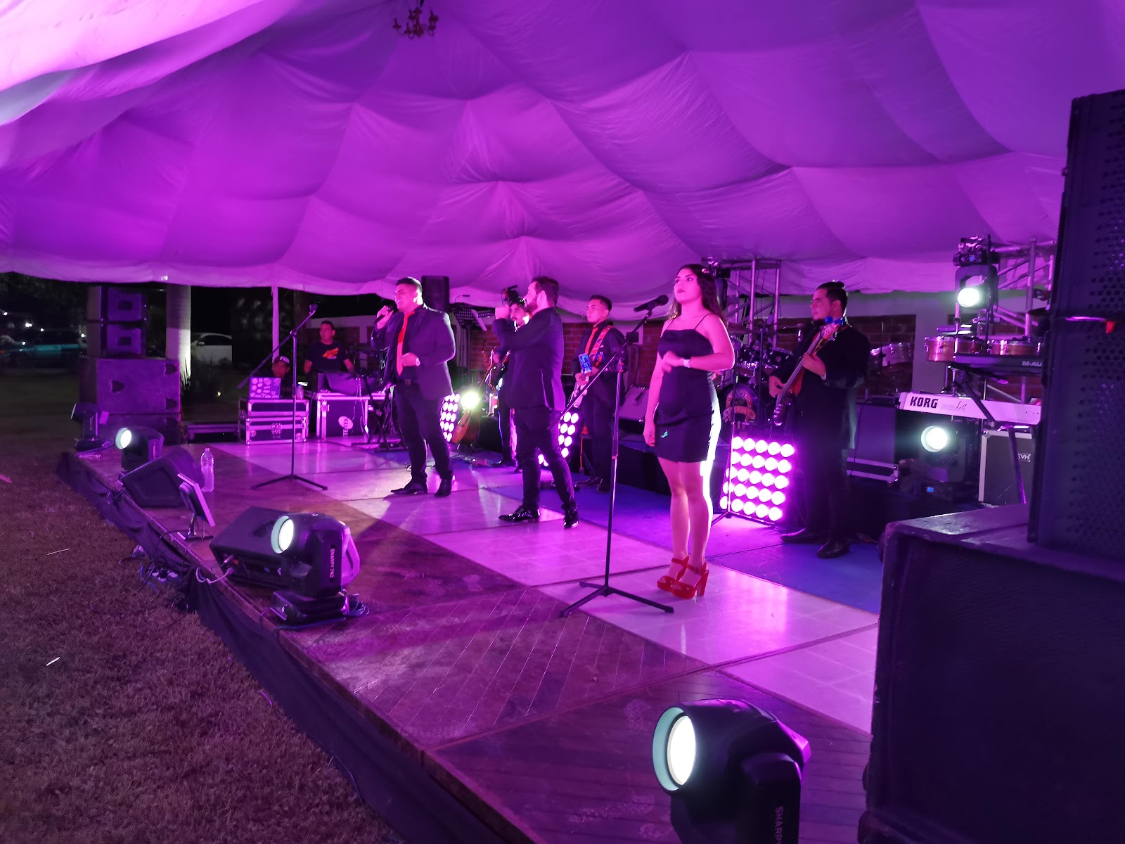 leetx-google-photo-48386-8 leetx-google-photo-48386-8