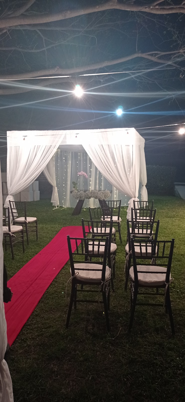 leetx-google-photo-48404-3 leetx-google-photo-48404-3