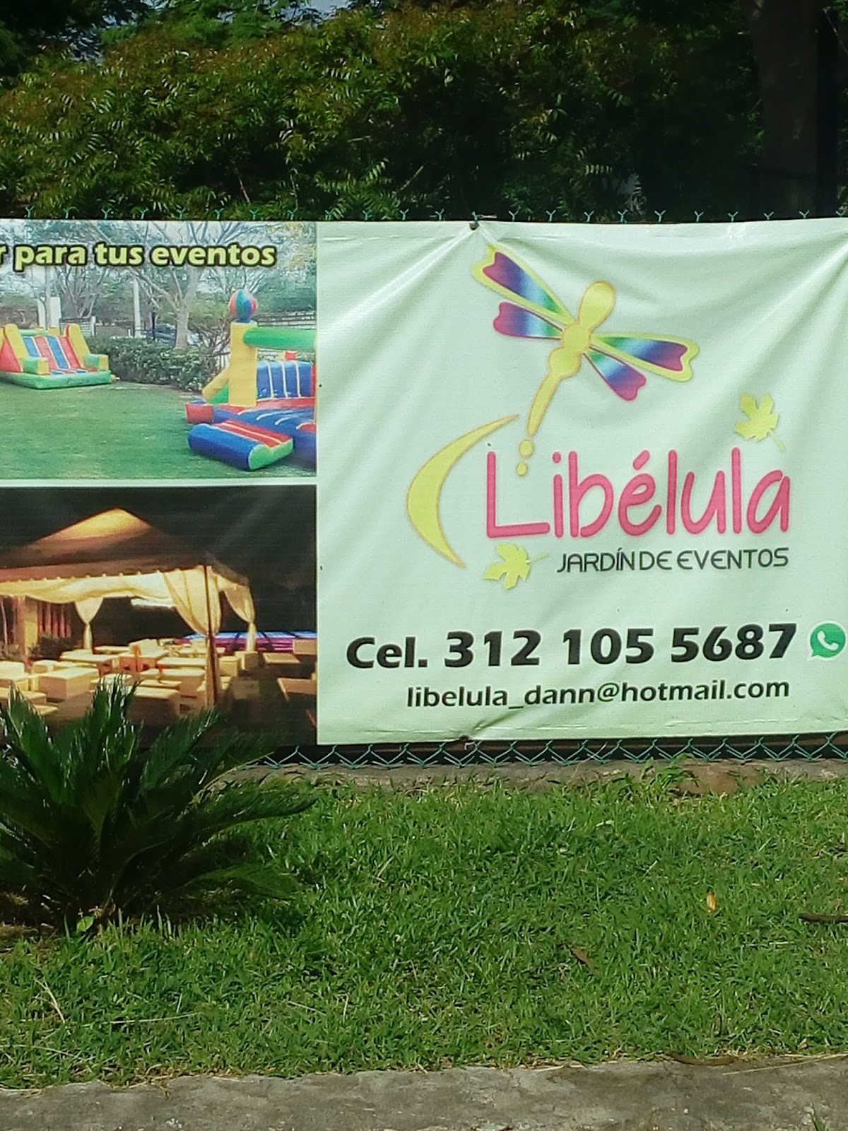 leetx-google-photo-48404-8 leetx-google-photo-48404-8