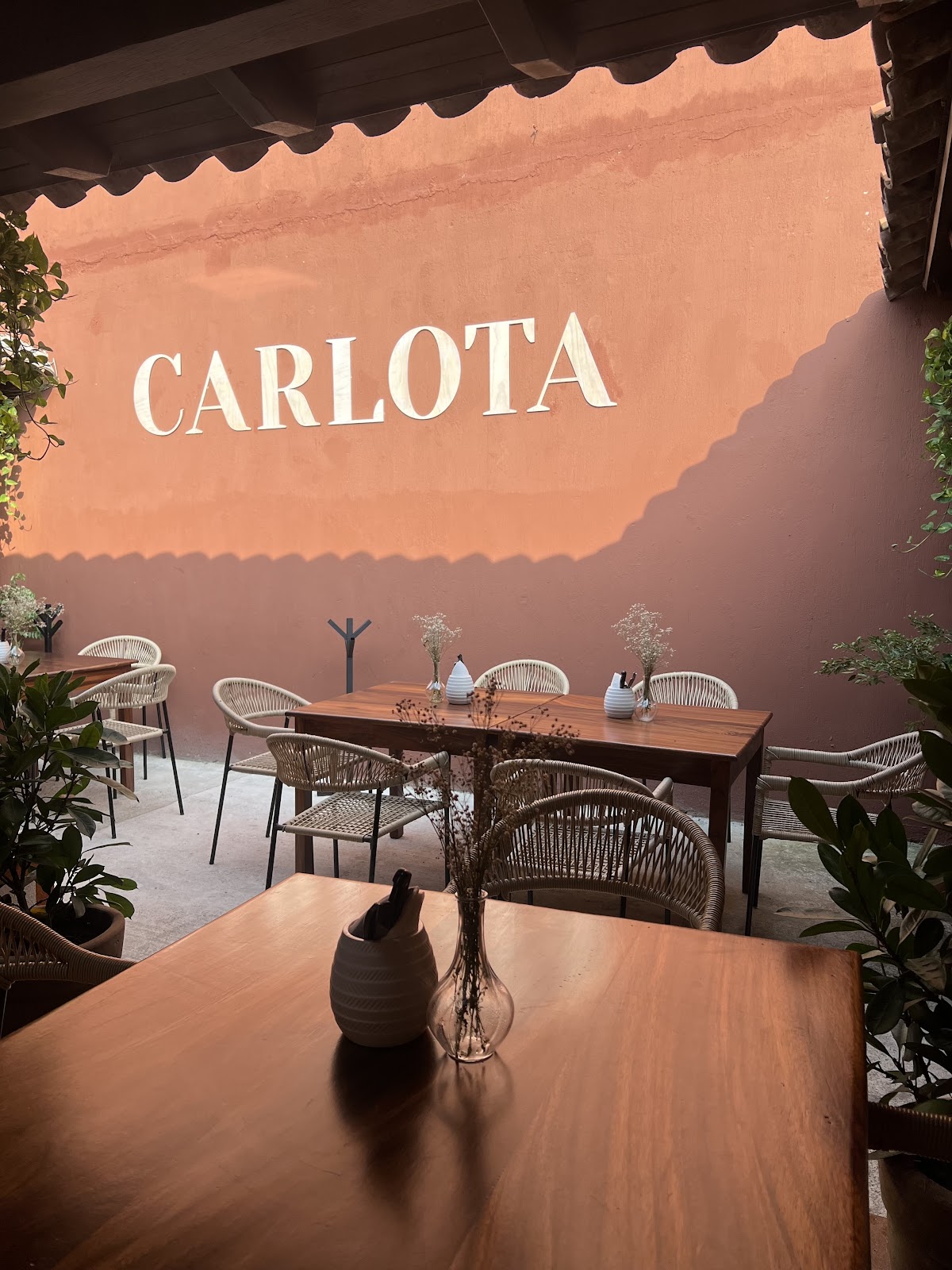 leetx-google-photo-48440-5 leetx-google-photo-48440-5