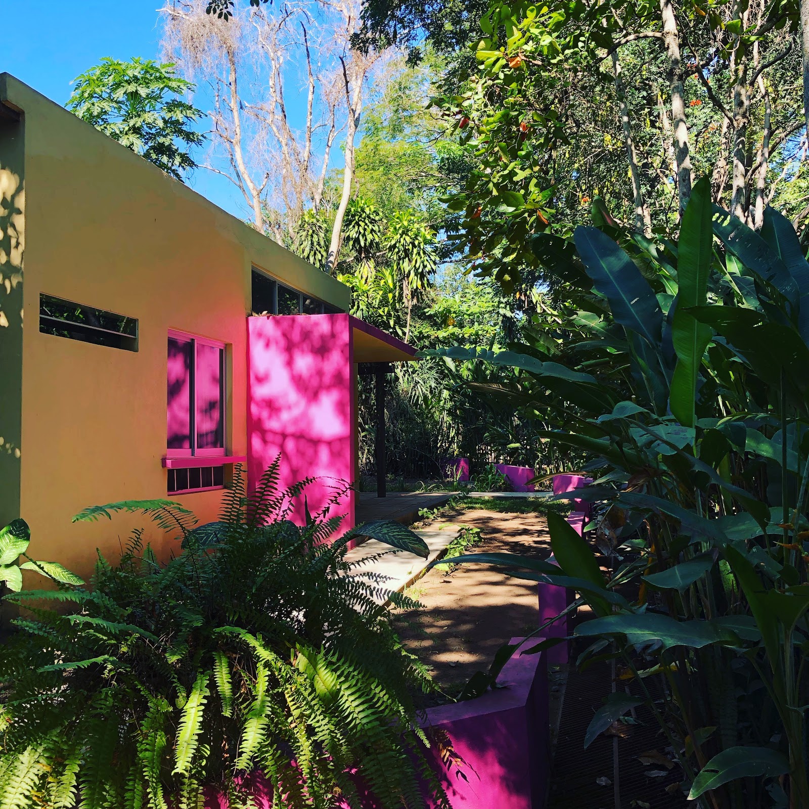 leetx-google-photo-48459-5 leetx-google-photo-48459-5