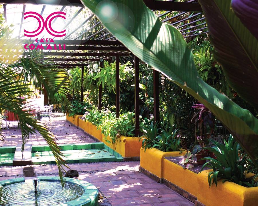 leetx-google-photo-48459-6 leetx-google-photo-48459-6