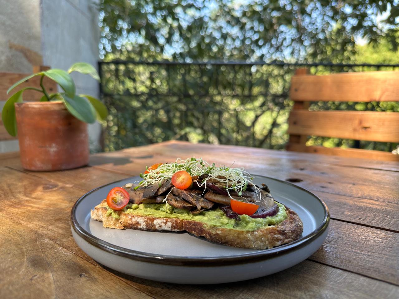 leetx-google-photo-48498-3 leetx-google-photo-48498-3