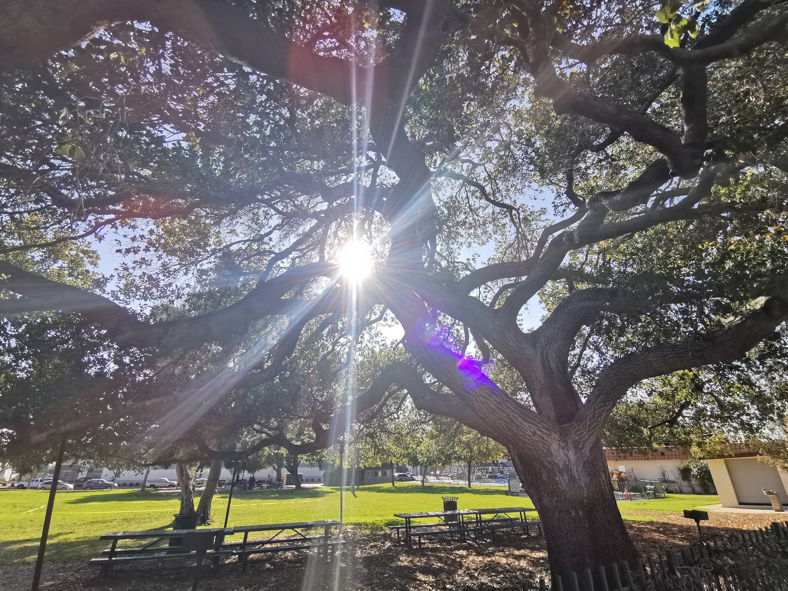 leetx-google-photo-48658-7 leetx-google-photo-48658-7