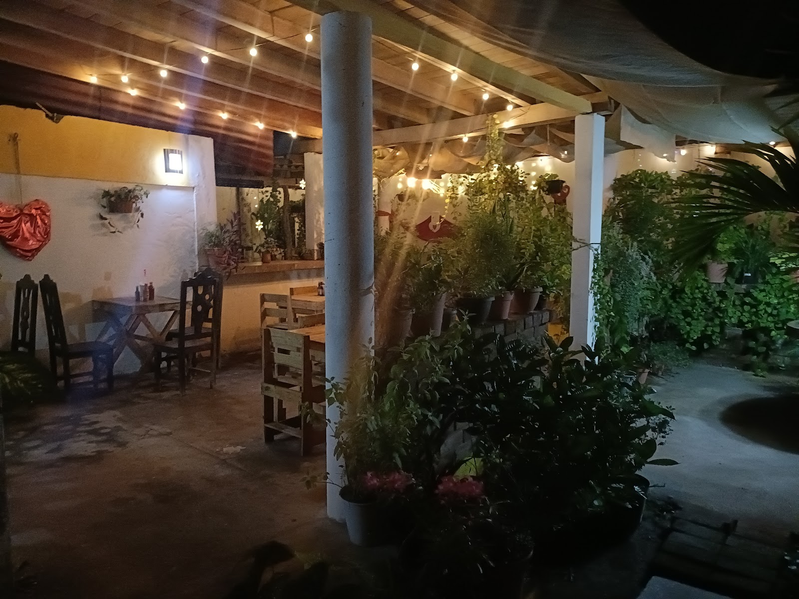 leetx-google-photo-48867-3 leetx-google-photo-48867-3