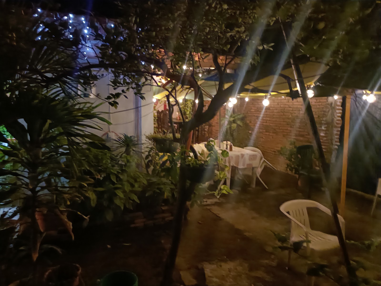 leetx-google-photo-48867-6 leetx-google-photo-48867-6