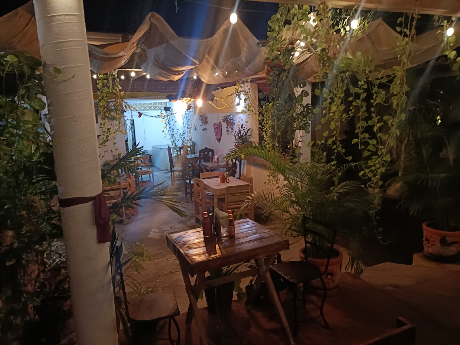 leetx-google-photo-48868-8 leetx-google-photo-48868-8