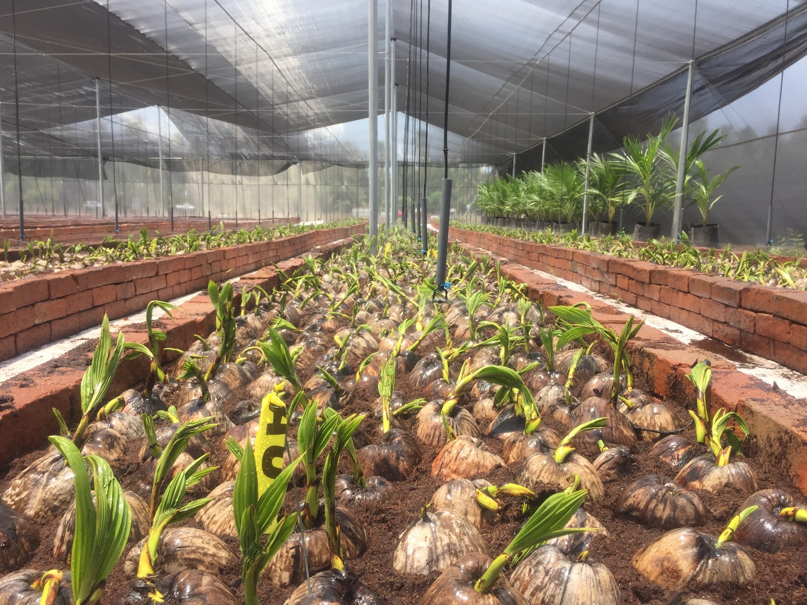 leetx-google-photo-49095-2 leetx-google-photo-49095-2